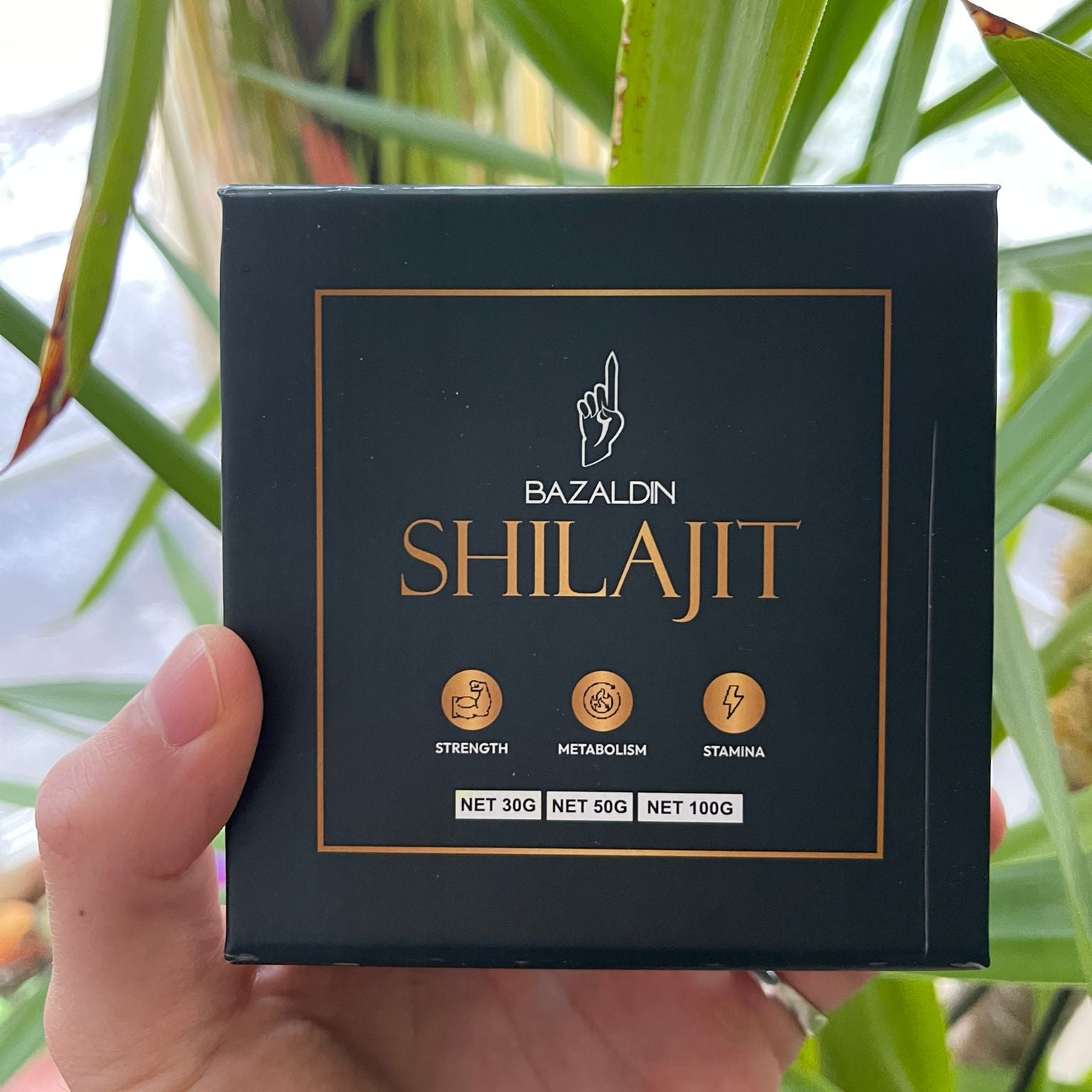 Reines Premium Shilajit